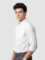 White Button Down Oxford Shirts