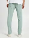 Pista Green Mens Chino Pants
