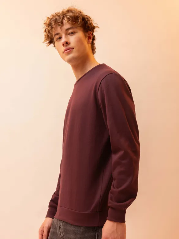 Solid Brown Men Sweatshirts
