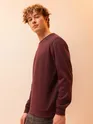 Solid Brown Men Sweatshirts