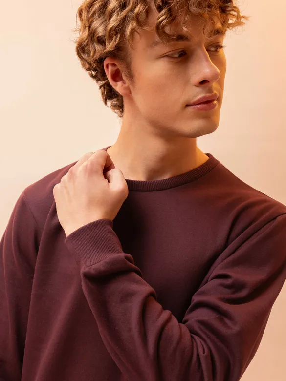 Solid Brown Men Sweatshirts
