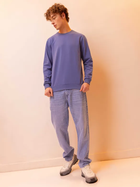 Solid Dark Purple Men Sweatshirts