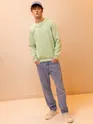Solid Pista Green Men Sweatshirts