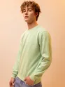 Solid Pista Green Men Sweatshirts