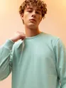 plain sweatshirts for men online, 
