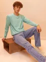 Solid Soft Green Men Sweatshirts