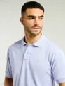 Polo t shirts for men online, 