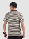 Brown Solid Collar Stripe Polo T-Shirt