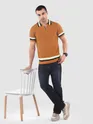 Cider Brown Contrast Striped Collar Flat Knit Polo T-Shirt