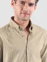 Sand Brown Stripe Button Down Collar Shirt