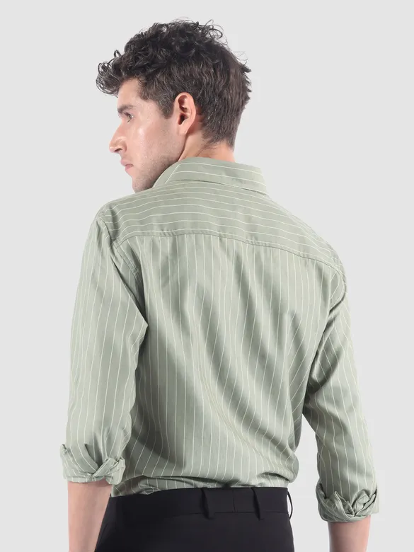Smoky Green Stripe Button Down Collar Shirt