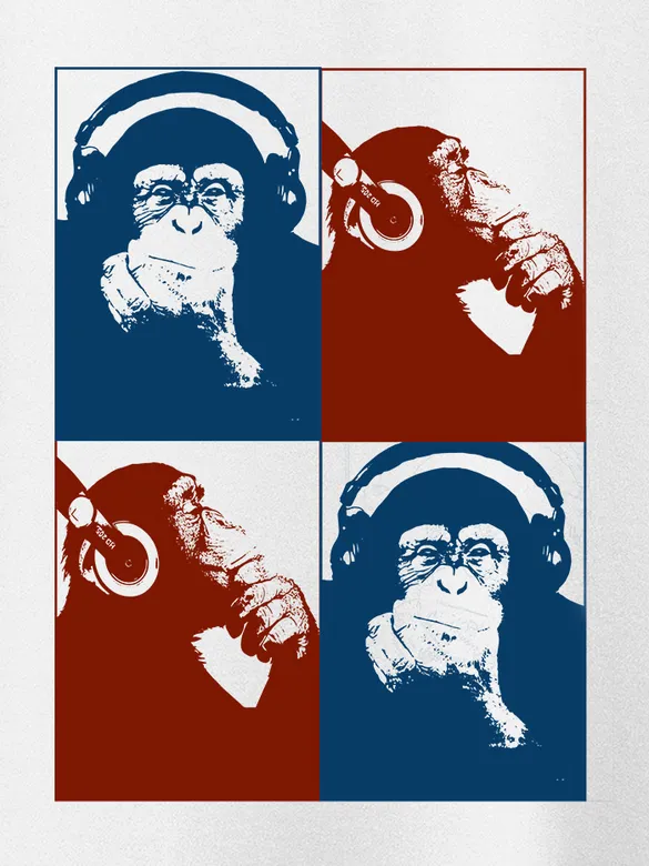 DJ Monkey Women Plus Size T-shirt