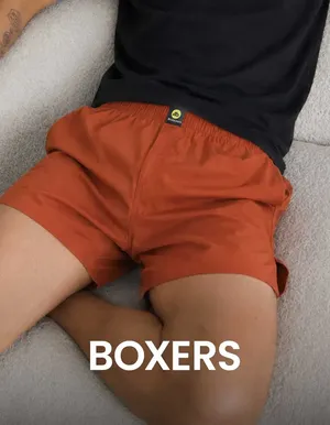 Boxer